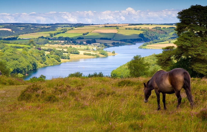 Dorset, Somerset, Hampshire & Wiltshire