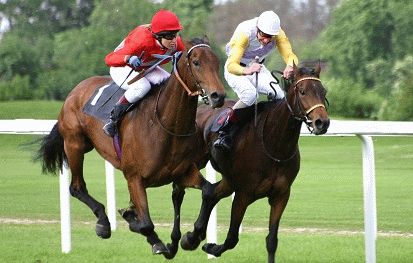 Cheltenham Racecourse Het Festival